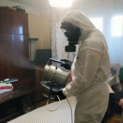 Дезинфекция от клопов в Новом Девяткино
