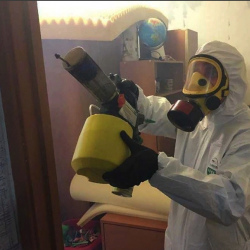Уничтожение клопов в квартире. Новое Девяткино